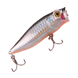 TopWater Asp-I
