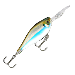 WOB Shad-F1