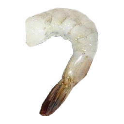 Shrimpschwanz