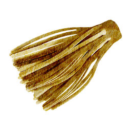 JIG Brush S3