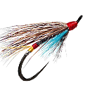 WB S Trout