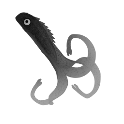 Oktopus M3