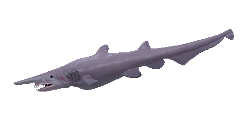 Koboldhai