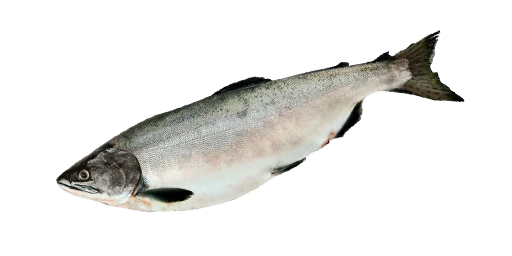 Pinklachs