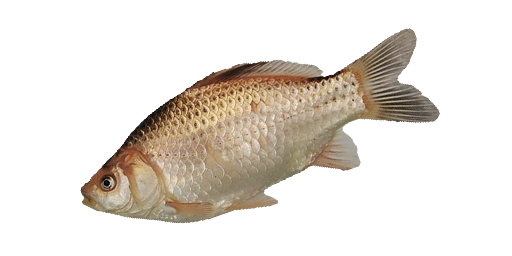 Asiatischer Giebel